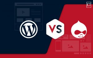 drupal vs wordpress