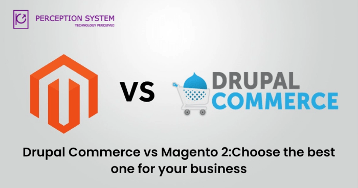 Drupal Commerce vs Magento 2: Choose the Best One for Your Business